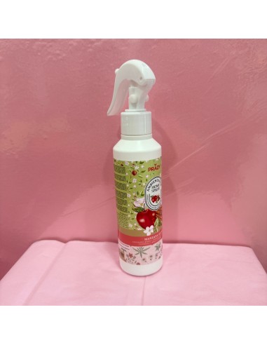 Ambientador Manzana Canela Spray